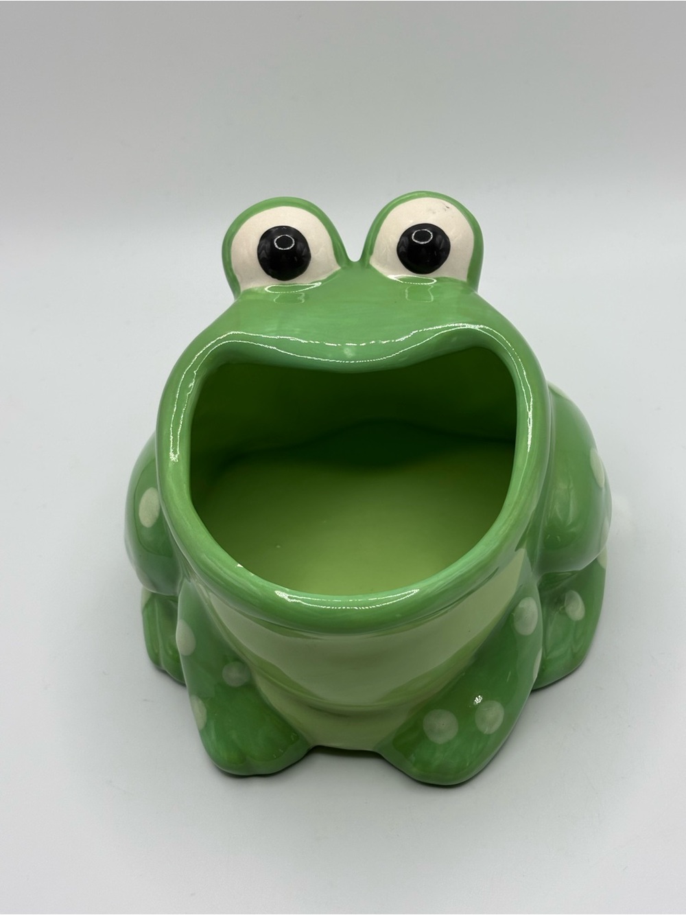 VTG Green Wide Mouth Ceramic Frog Sponge Holder Boston Warehouse Trading Corp